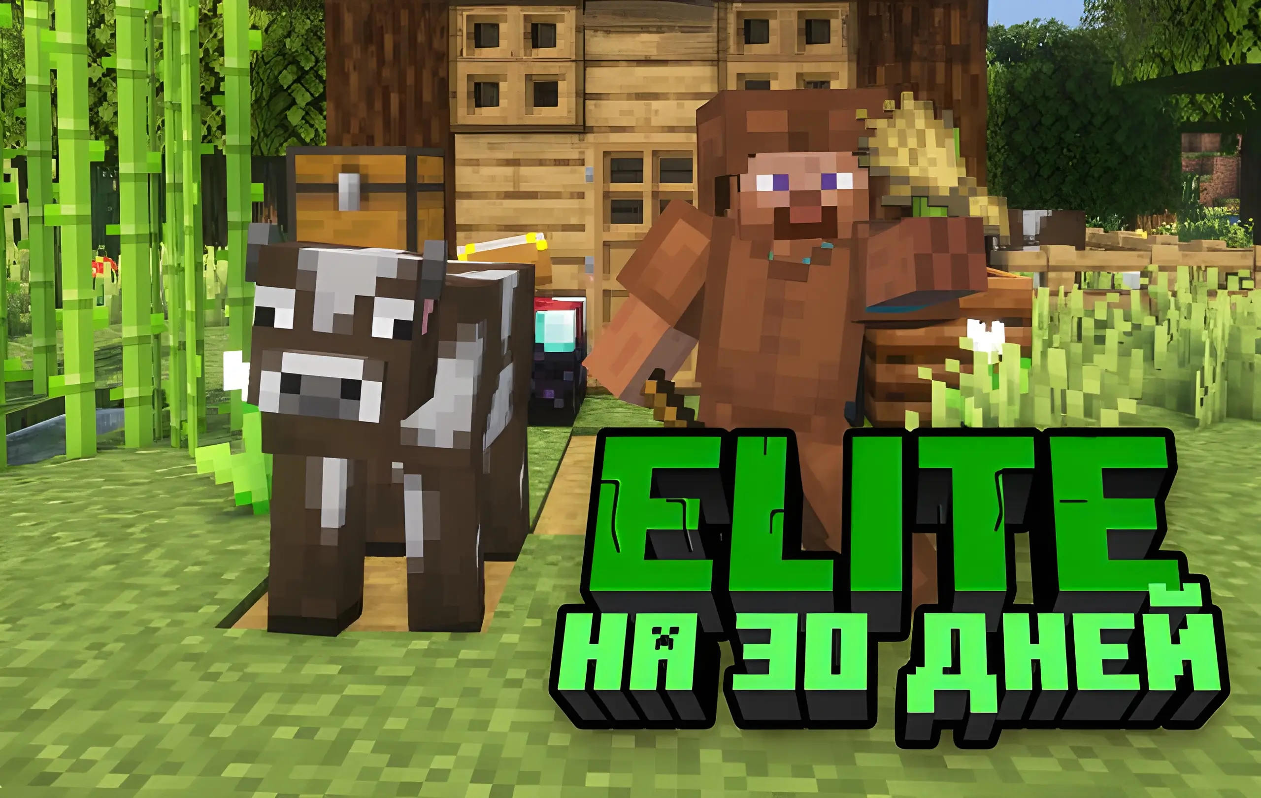 Elite на 30 дней