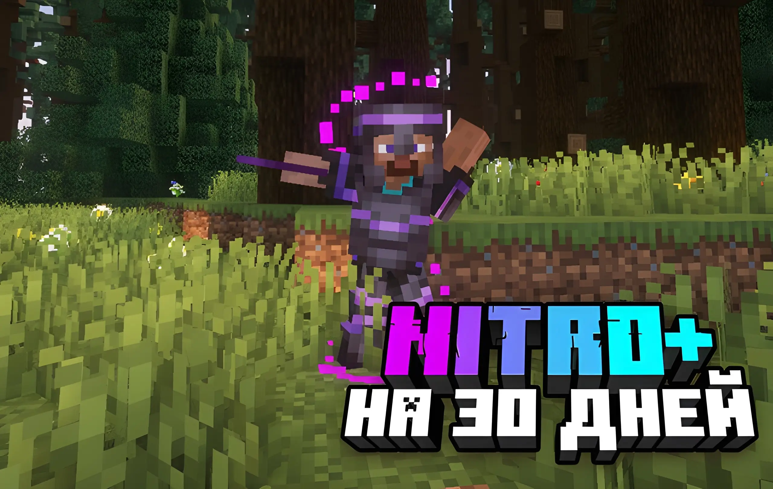 Nitro+ на 30 дней