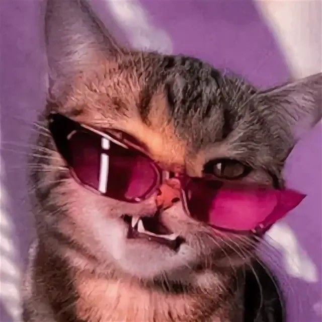 S2l